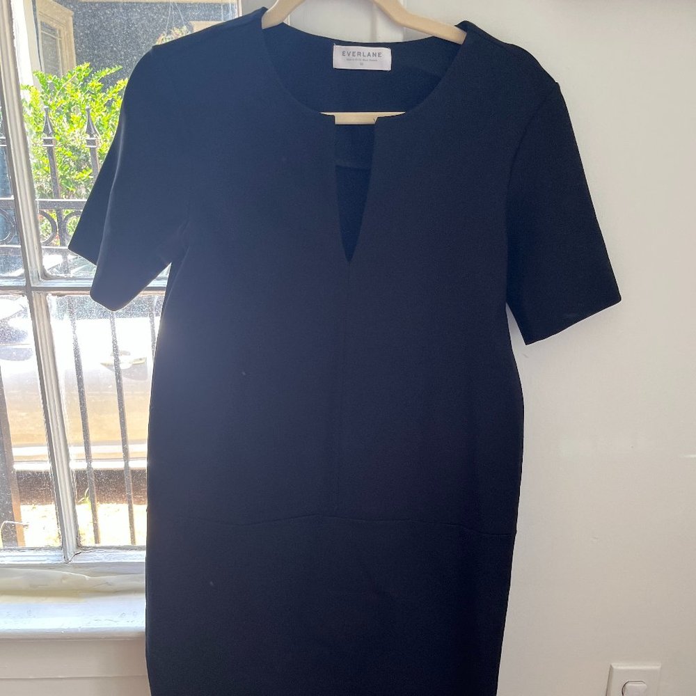Everlane Black Shift Dress